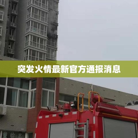 突发火情最新官方通报消息