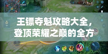 王镖夺魁攻略大全，登顶荣耀之巅的全方位指南
