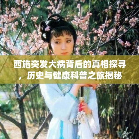 西施突发大病背后的真相探寻，历史与健康科普之旅揭秘
