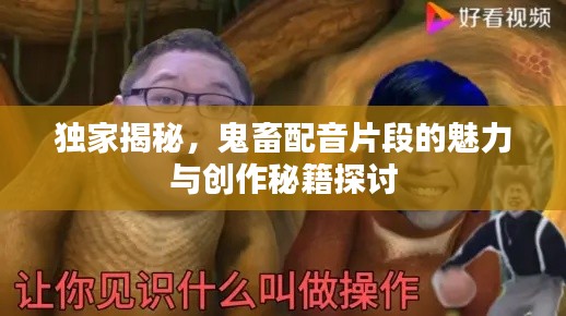 独家揭秘，鬼畜配音片段的魅力与创作秘籍探讨