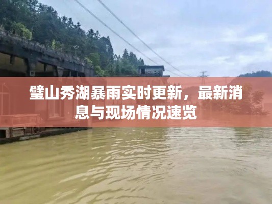 璧山秀湖暴雨实时更新，最新消息与现场情况速览